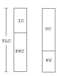 measurements of lung volume